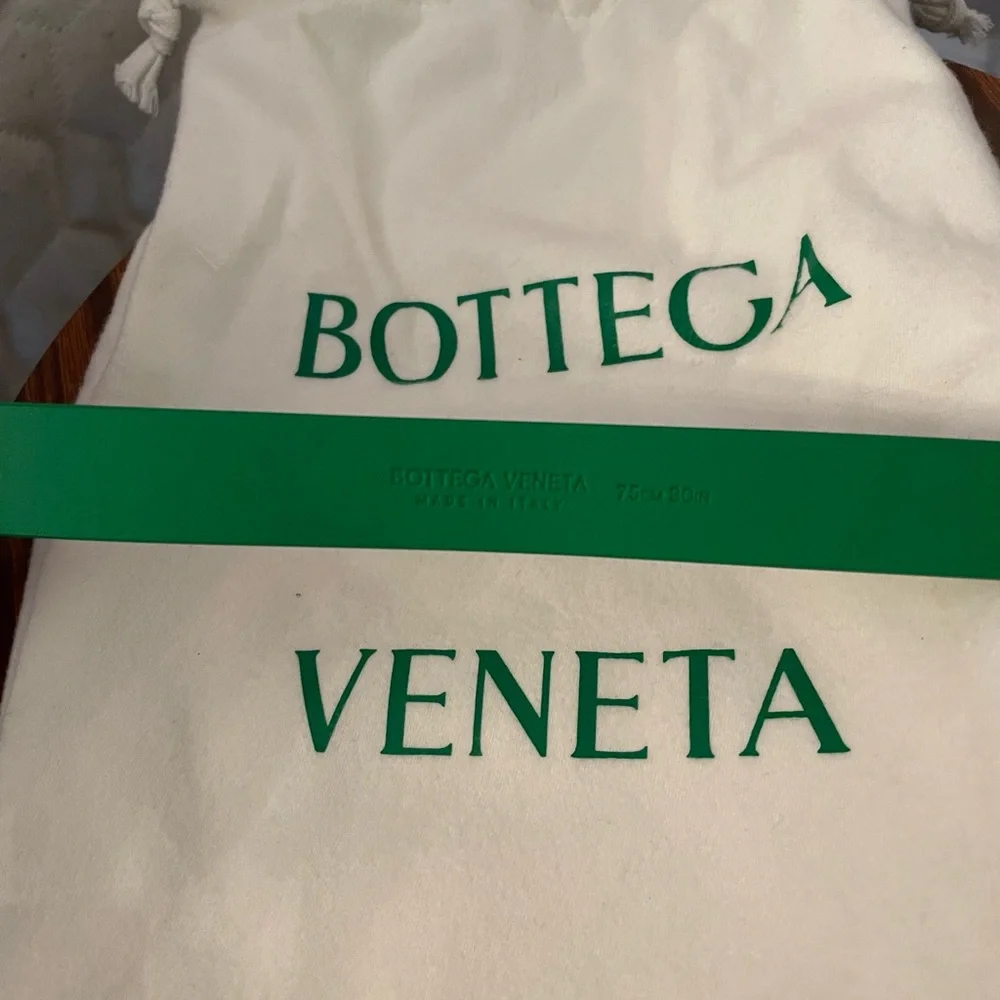Bottega Veneta monochromatic parakeet